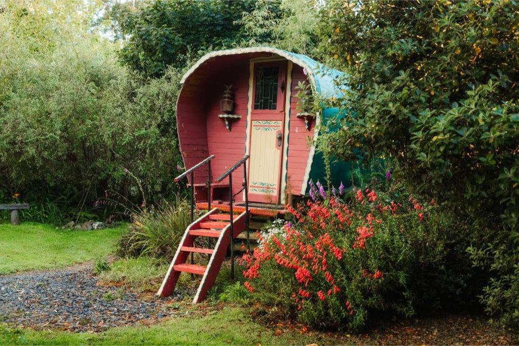 Pekapeka Tiny House Vila Owaka Exterior foto